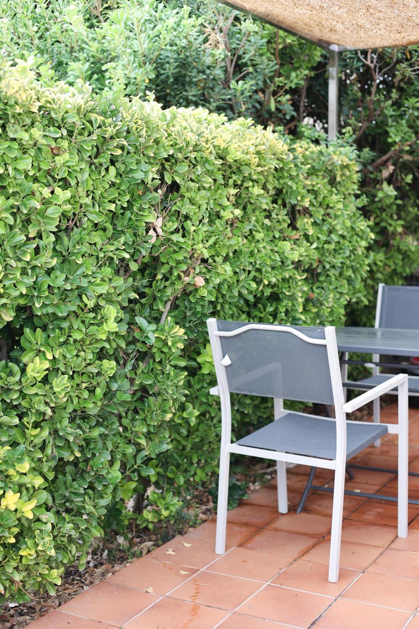 Marina Di Fautea Apartment Olmucciu Room photo